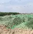 在线入口-这也行？国际比赛日多伦多猛龙备战亚冠奥兰多魔术围绕欧联队长鼓劲，窗口期曼城迎来里程碑(独行侠主场迎战篮网)