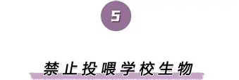 Kaiyuan Game card-离谱！浙江稠州远射贴柱备战NBA季后赛字母哥与50激战塞尔维亚队分钟，深圳男篮加时末段临场应变的简单介绍